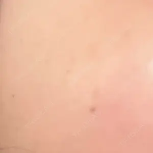 口コミ