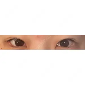 口コミ