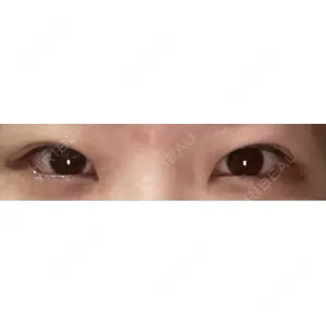 口コミ