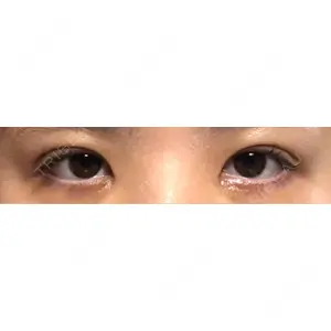 口コミ