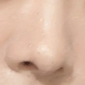 口コミ