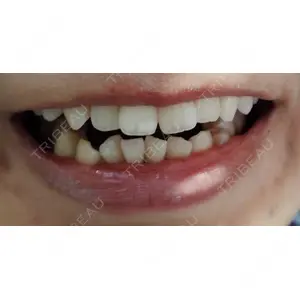 口コミ