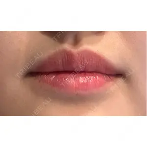 口コミ