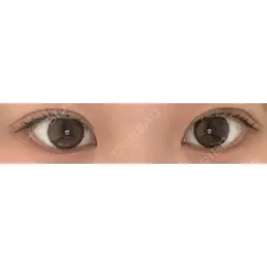 口コミ