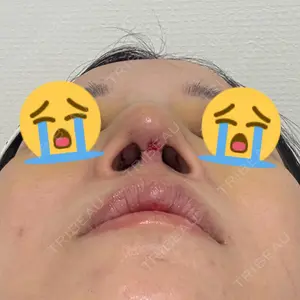 口コミ