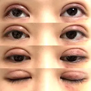 口コミ