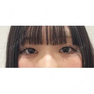 口コミ