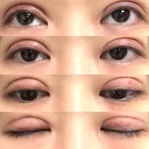 口コミ
