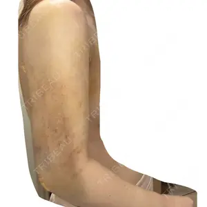 口コミ