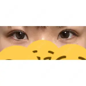口コミ
