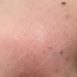 口コミ