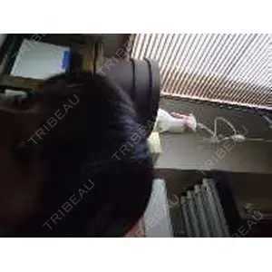 口コミ