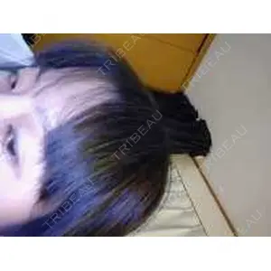 口コミ