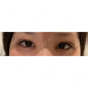 口コミ