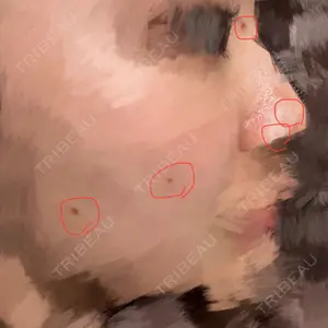 口コミ