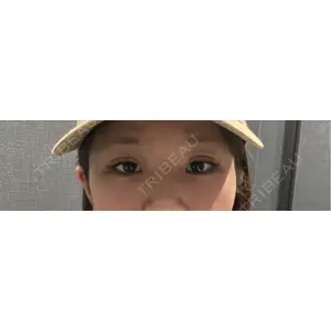 口コミ
