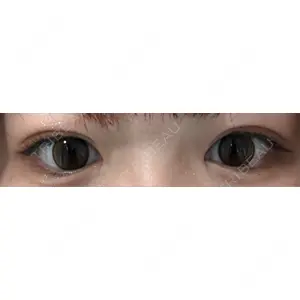 口コミ