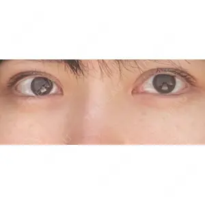 口コミ