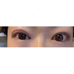 口コミ