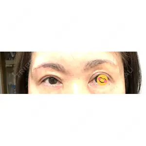 口コミ