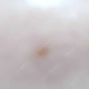 口コミ