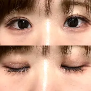 口コミ