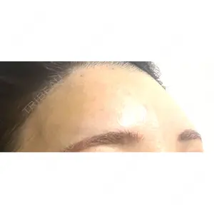 口コミ
