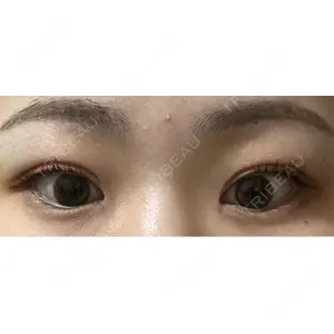 口コミ