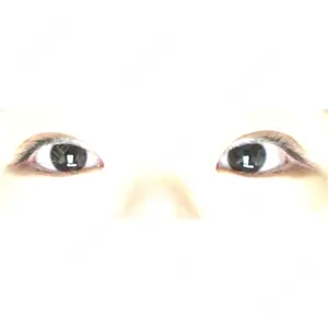 口コミ