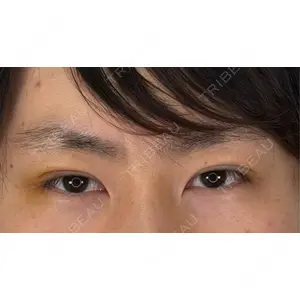 口コミ