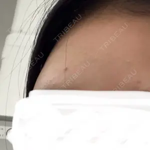 口コミ