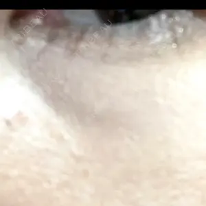 口コミ