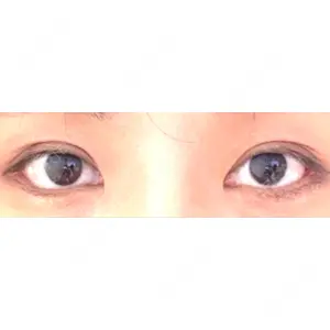 口コミ