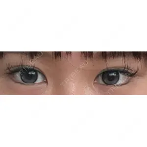 口コミ