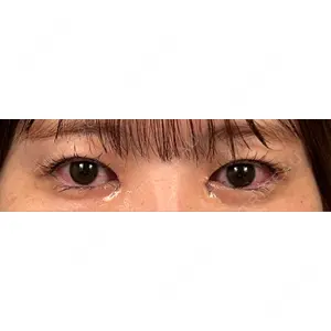 口コミ