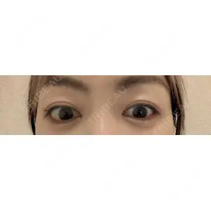 口コミ