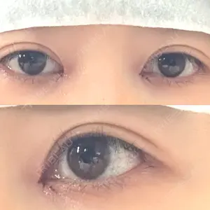 口コミ