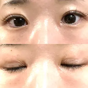 口コミ