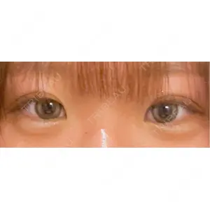 口コミ