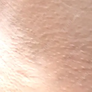 口コミ