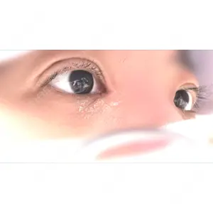 口コミ