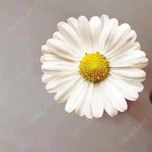 口コミ