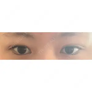 口コミ