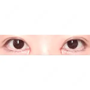 口コミ
