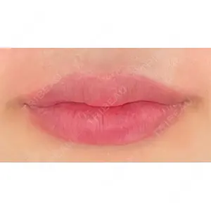 口コミ