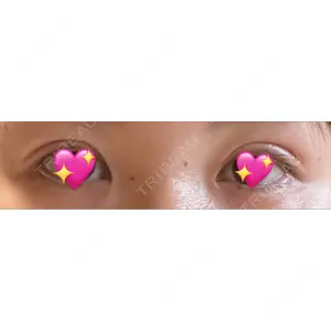 口コミ