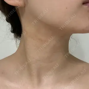 口コミ