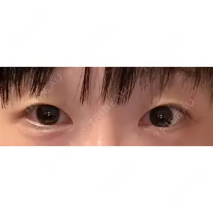口コミ