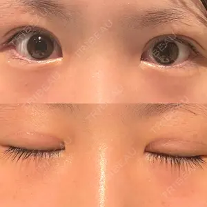口コミ