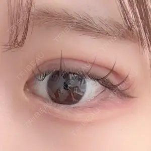 口コミ
